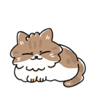 我が家の猫メルちゃん（個別スタンプ：1）