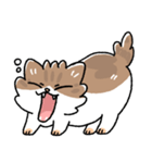 我が家の猫メルちゃん（個別スタンプ：2）