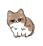 我が家の猫メルちゃん（個別スタンプ：3）
