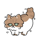我が家の猫メルちゃん（個別スタンプ：7）