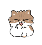 我が家の猫メルちゃん（個別スタンプ：11）