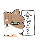 我が家の猫メルちゃん（個別スタンプ：19）