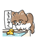 我が家の猫メルちゃん（個別スタンプ：25）