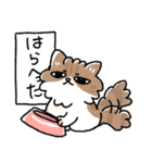 我が家の猫メルちゃん（個別スタンプ：26）