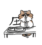 我が家の猫メルちゃん（個別スタンプ：28）