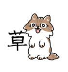 我が家の猫メルちゃん（個別スタンプ：31）