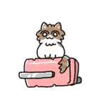 我が家の猫メルちゃん（個別スタンプ：34）