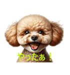 かわいいトイプードルの日常スタンプ –（個別スタンプ：10）