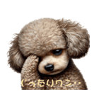 かわいいトイプードルの日常スタンプ –（個別スタンプ：12）