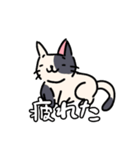なんか猫スタンプ（個別スタンプ：1）