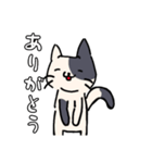 なんか猫スタンプ（個別スタンプ：5）