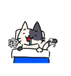 なんか猫スタンプ（個別スタンプ：12）