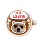 チワワのレイくんスタンプ（個別スタンプ：38）