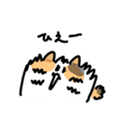 私んちの3にゃんず（個別スタンプ：5）