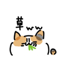 私んちの3にゃんず（個別スタンプ：11）