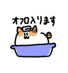 私んちの3にゃんず（個別スタンプ：17）