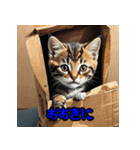 ミニチュア子猫の関西弁（個別スタンプ：19）
