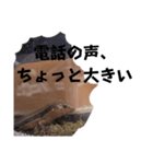 ニホントカゲのゴマチャン（個別スタンプ：13）