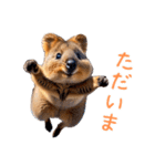 ハッピーアニマル_クオッカワラビー32（個別スタンプ：13）