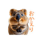 ハッピーアニマル_クオッカワラビー32（個別スタンプ：14）