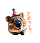 ハッピーアニマル_クオッカワラビー32（個別スタンプ：17）