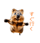 ハッピーアニマル_クオッカワラビー32（個別スタンプ：25）