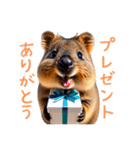 ハッピーアニマル_クオッカワラビー32（個別スタンプ：36）