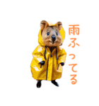 ハッピーアニマル_クオッカワラビー32（個別スタンプ：37）