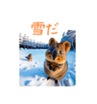 ハッピーアニマル_クオッカワラビー32（個別スタンプ：39）