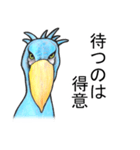 ハシビロコウは動じない ver.2（個別スタンプ：20）