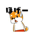 柴犬の風鈴ガォン！（個別スタンプ：3）