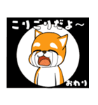 柴犬の風鈴ガォン！（個別スタンプ：5）