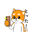 柴犬の風鈴ガォン！（個別スタンプ：24）