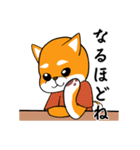 柴犬の風鈴ガォン！（個別スタンプ：31）