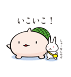 そっちが顔のカメ（個別スタンプ：3）