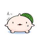 そっちが顔のカメ（個別スタンプ：5）