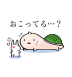 そっちが顔のカメ（個別スタンプ：6）