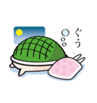 そっちが顔のカメ（個別スタンプ：12）