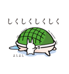 そっちが顔のカメ（個別スタンプ：15）