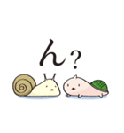 そっちが顔のカメ（個別スタンプ：16）