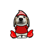 ビーグル犬ポップアップ(春2)（個別スタンプ：4）