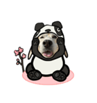 ビーグル犬ポップアップ(春2)（個別スタンプ：8）