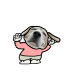 ビーグル犬ポップアップ(春2)（個別スタンプ：10）