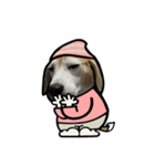 ビーグル犬ポップアップ(春2)（個別スタンプ：15）