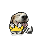 ビーグル犬ポップアップ(春2)（個別スタンプ：18）