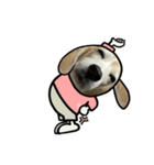 ビーグル犬ポップアップ(春2)（個別スタンプ：21）
