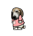 ビーグル犬ポップアップ(春2)（個別スタンプ：22）