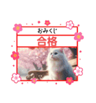ラブリーキャット⑳。。受験生応援（個別スタンプ：2）