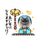 ラブリーキャット⑳。。受験生応援（個別スタンプ：3）
