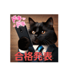 ラブリーキャット⑳。。受験生応援（個別スタンプ：5）